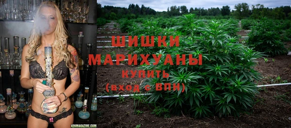 ГАЛЛЮЦИНОГЕННЫЕ ГРИБЫ Михайлов