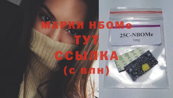 ГАЛЛЮЦИНОГЕННЫЕ ГРИБЫ Михайлов