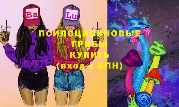 дживик Березники