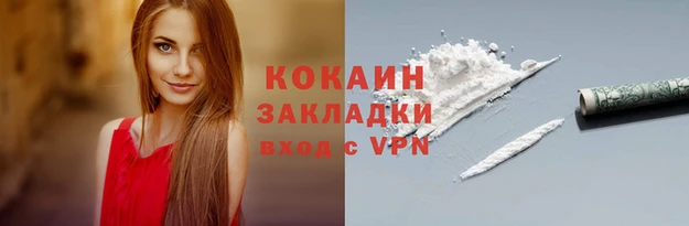 ГАЛЛЮЦИНОГЕННЫЕ ГРИБЫ Михайлов