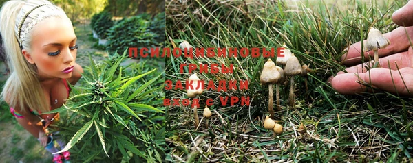прущая мука Михайловка