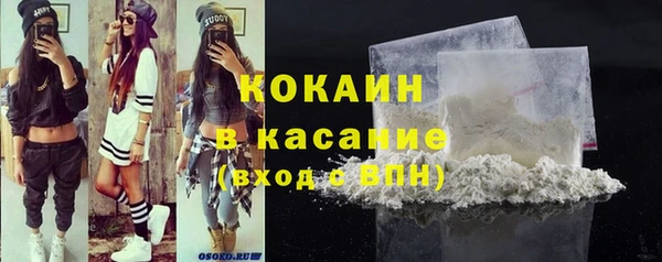 ГАЛЛЮЦИНОГЕННЫЕ ГРИБЫ Михайлов