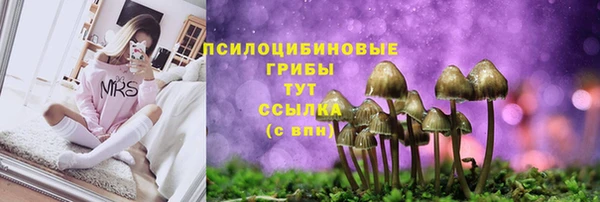 ешки Домодедово