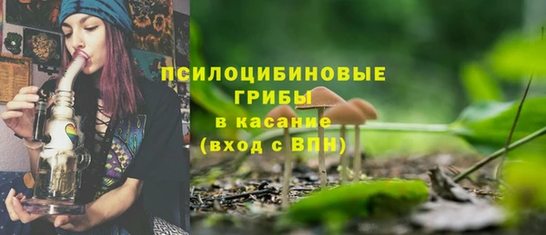 бошки Мегион