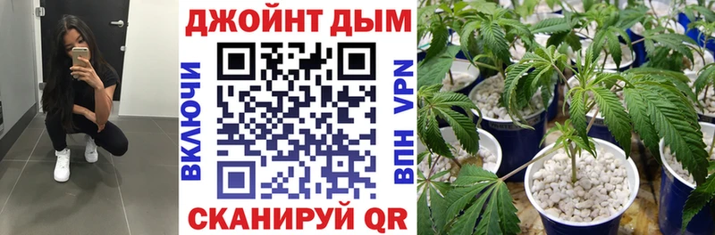 Шишки марихуана OG Kush  Прохладный 